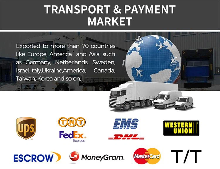 smart lithium battery charger